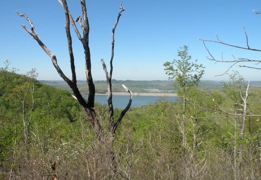 Lakeview Trail